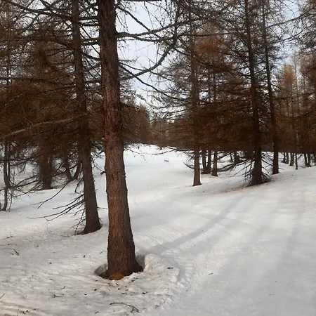 Appartement A Allos, 15 M², Equipements Modernes *