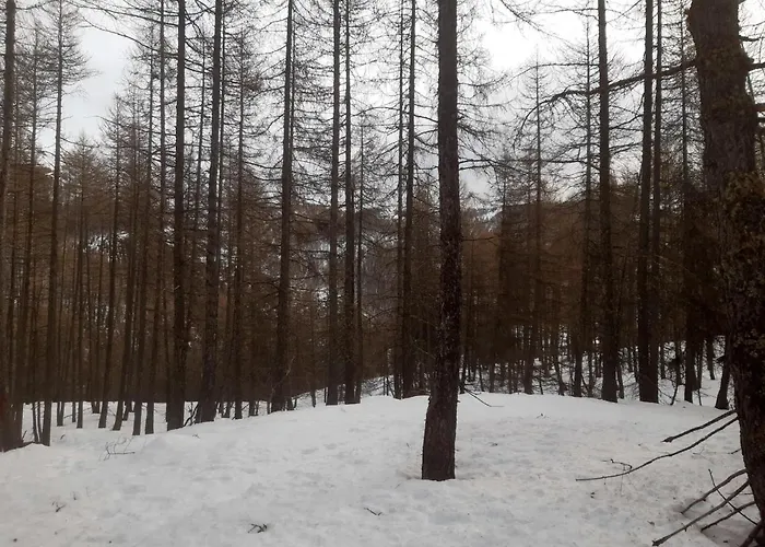 Appartement Appartement A Allos, 15 M², Equipements Modernes