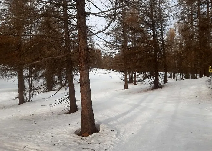 Appartement A Allos, 15 M², Equipements Modernes *